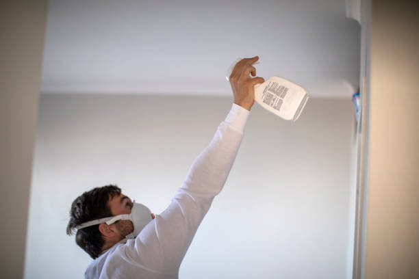 Best Commercial Mold Removal  in Ruston, LA