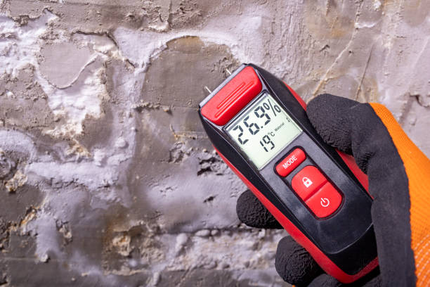 Best Office Mold Removal Services  in Ruston, LA